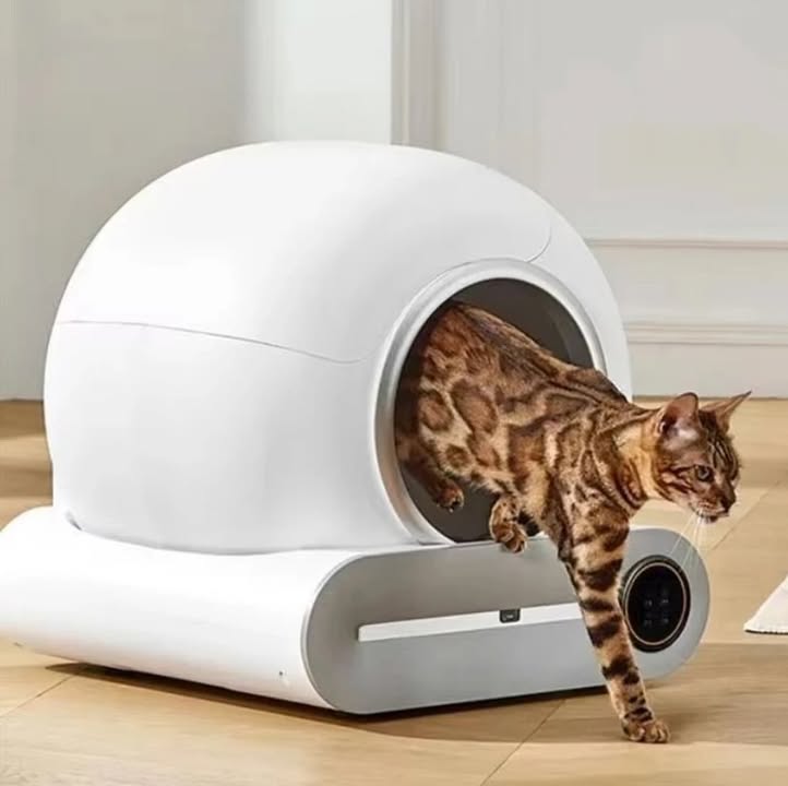 Gadgets From China